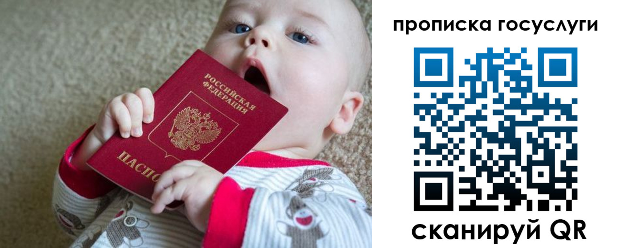 временная регистрация в квартире в Волгоградской области